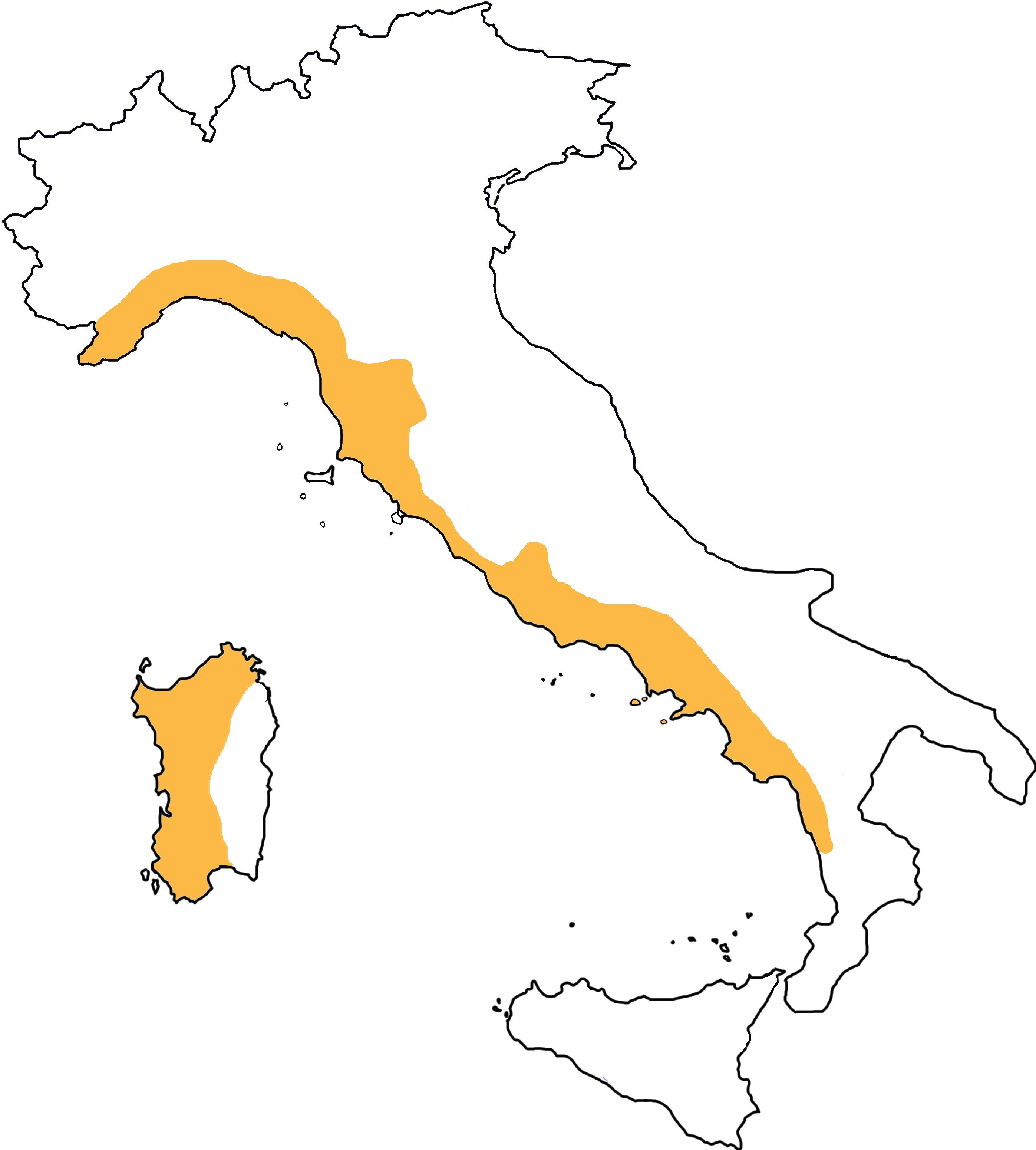 distribuzione in Italia di Euscorpius flavicaudis